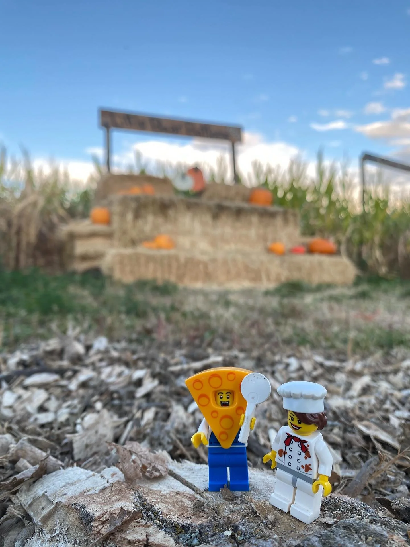 Where in Cache Valley are the Pizza Pals!?