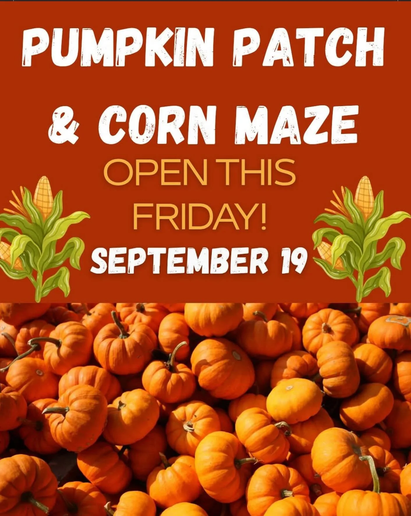 We will be at Little Bear Bottoms ALL DAY SATURDAY! Come kick off fall with a slice and some fun! 🍂🎃🍕

#falltime #family #cornmaze #pizza #cachevalley #northernutah #wellsville #littlebearbottoms