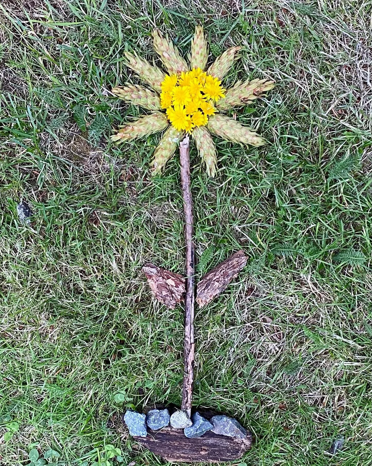 Taking a break from the glass to take a hike. Created a bit of a nature mosaic! #stickypinecones 😆

#naturemosaic #issaquahwa