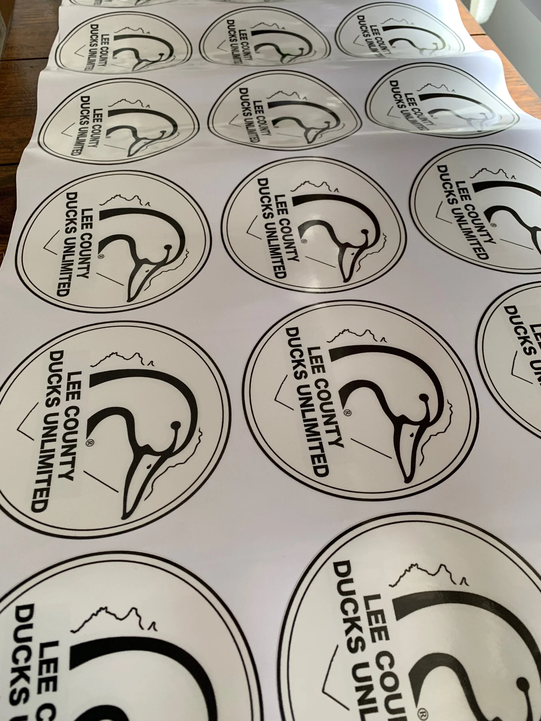 DF17CF90-8AA7-489C-8B33-F84D2D117F61