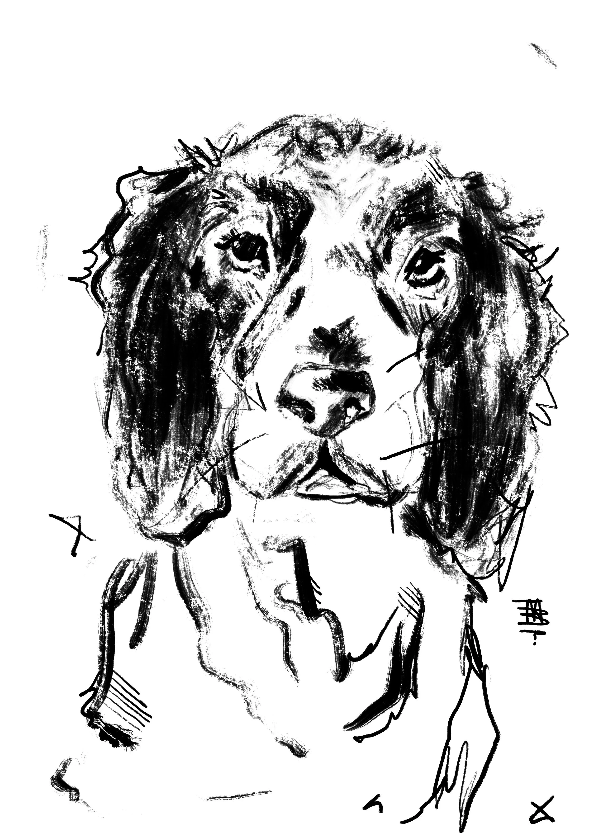 Untitled_Artwork 12 copy.jpg