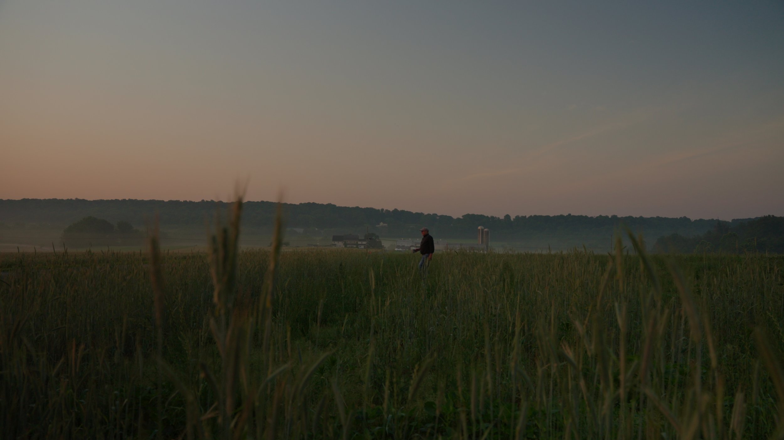 Still 2025-12-08 113209_1.2.1.jpg