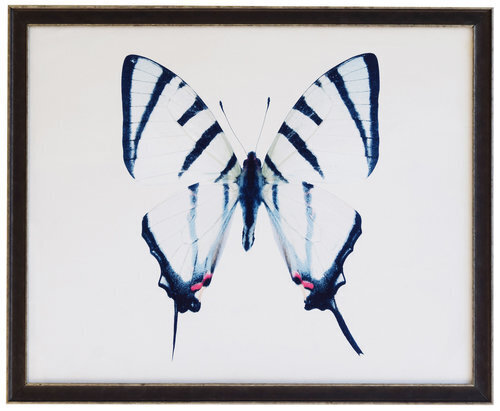 Arrangement of colorful artificial butterflies For sale as Framed Prints,  Photos, Wall Art and Photo Gifts