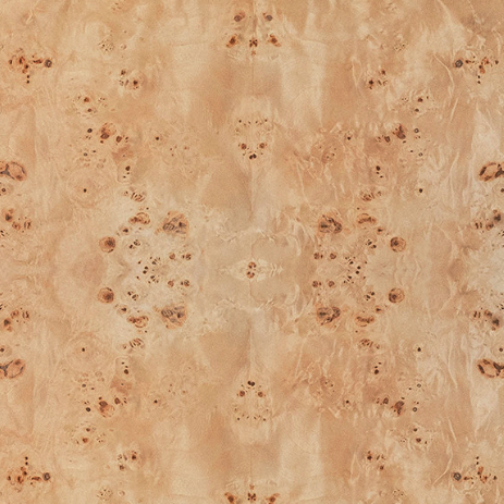 Screenshot 2026-02-27 at 2.33.43 PM.png