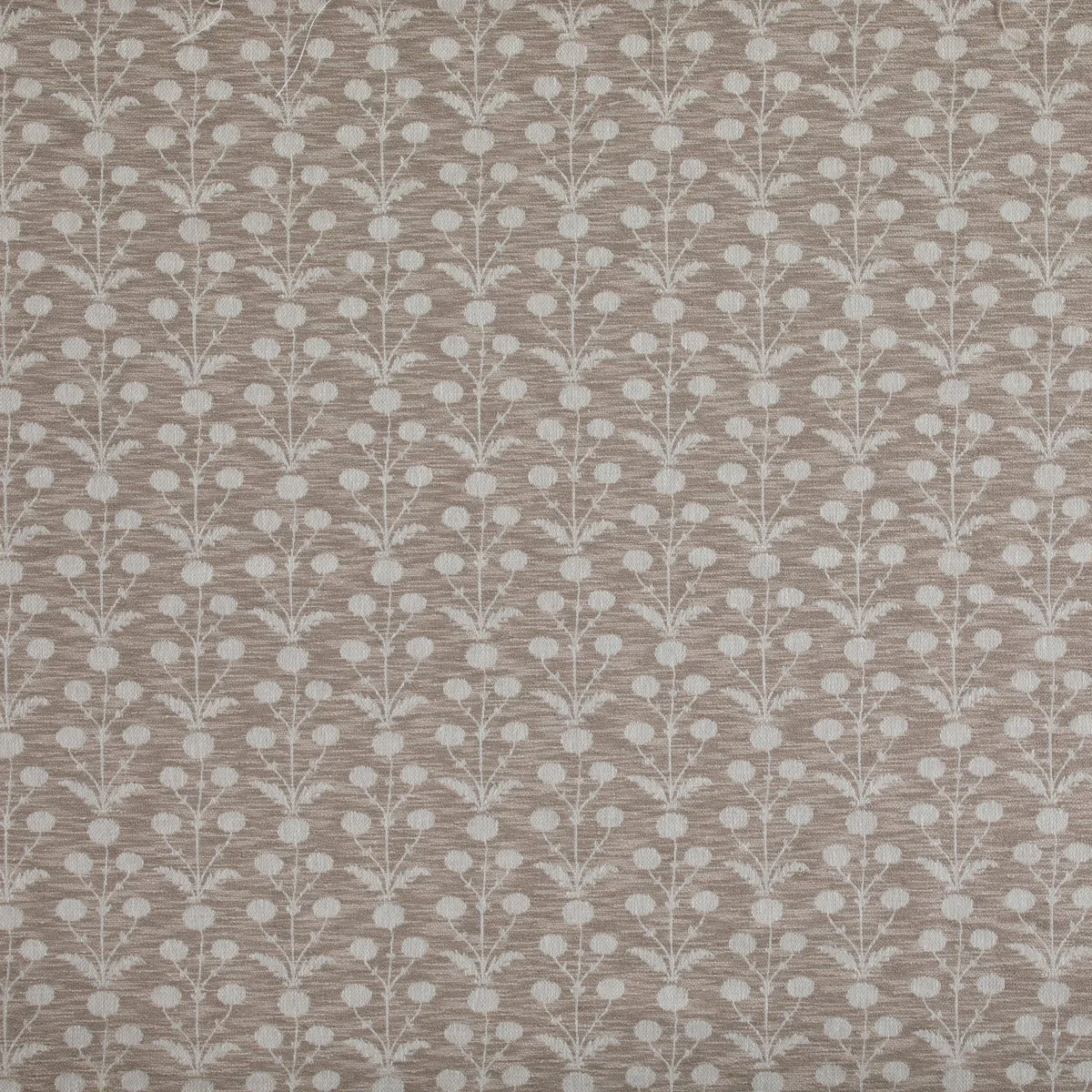 bloom taupe.jpg