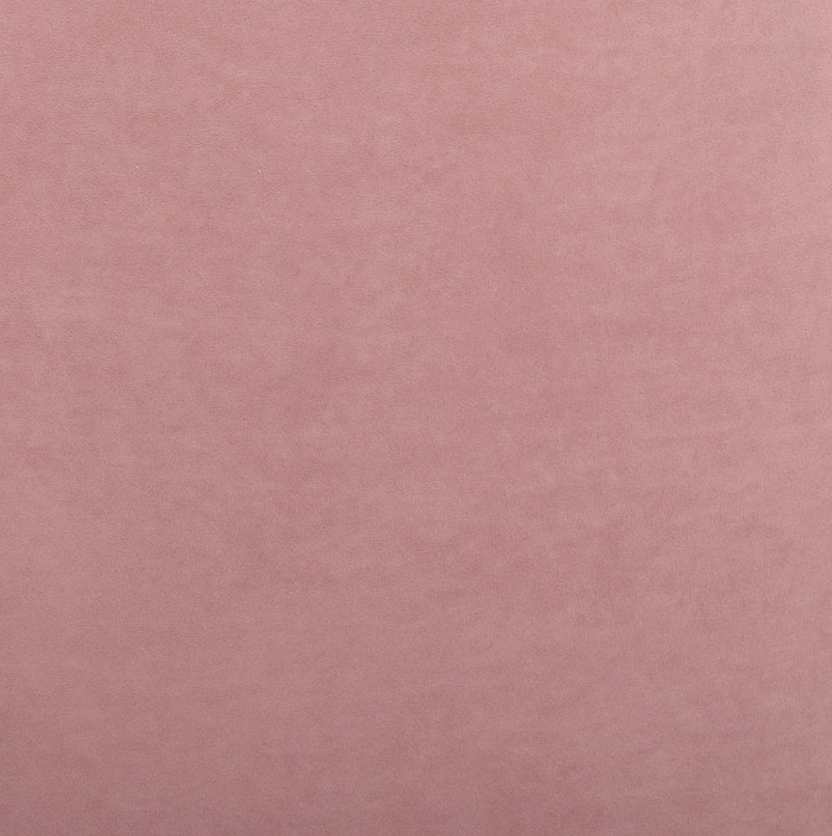 Screenshot 2026-09-02 at 12.46.04 PM.png