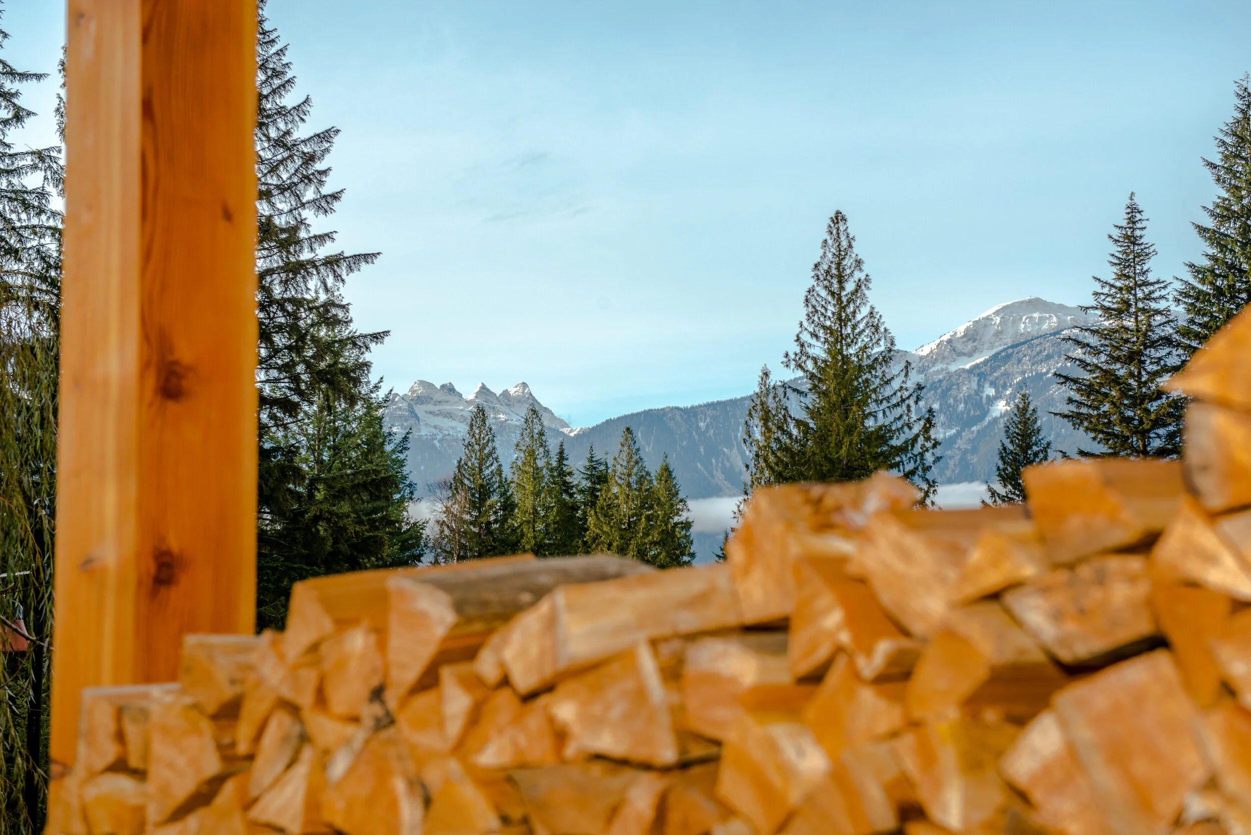 Revelstoke Vacation Rental — Revelstoke Spruce Tip Lodge