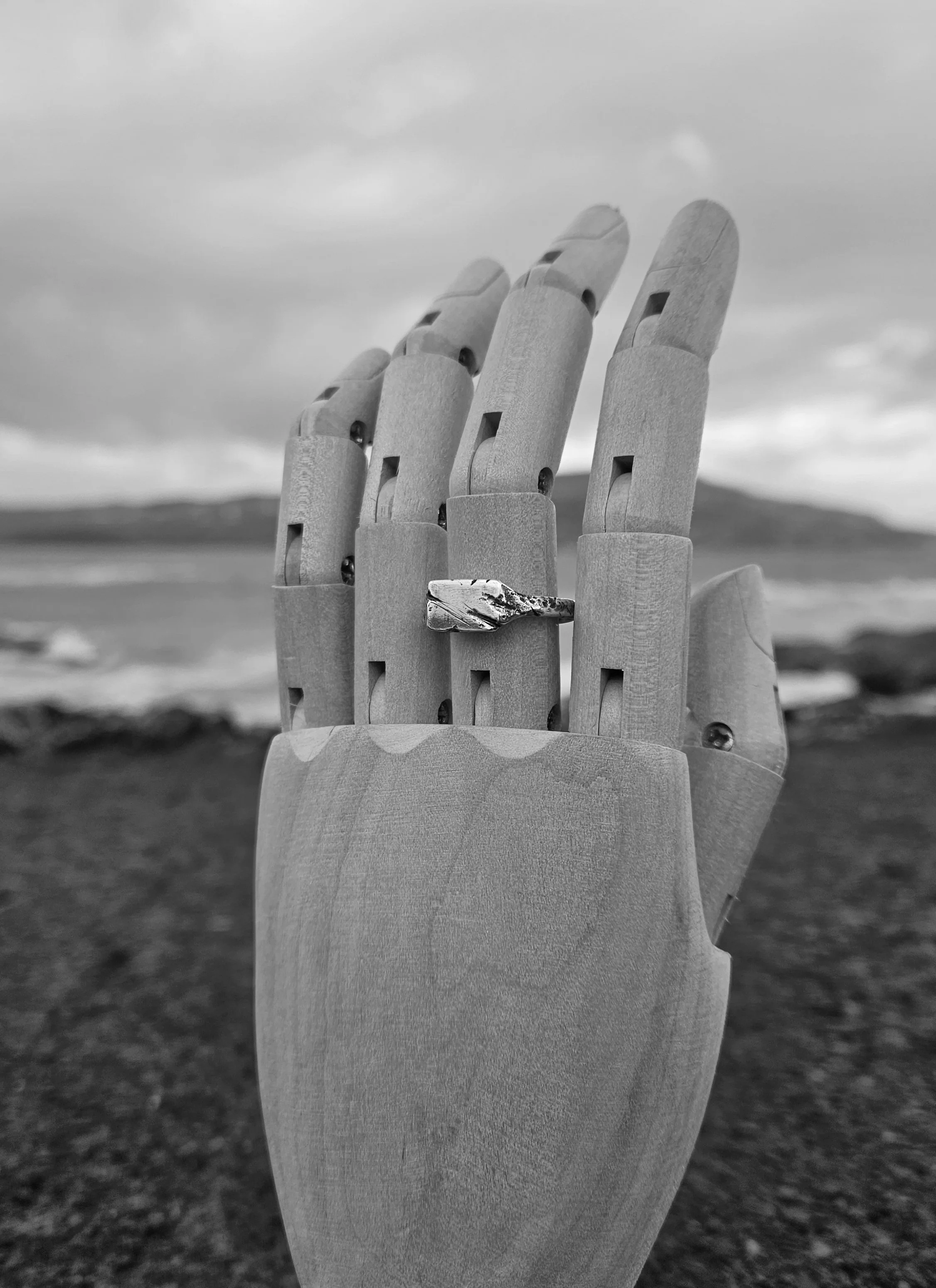 Small Signet Relic 2bw.jpg