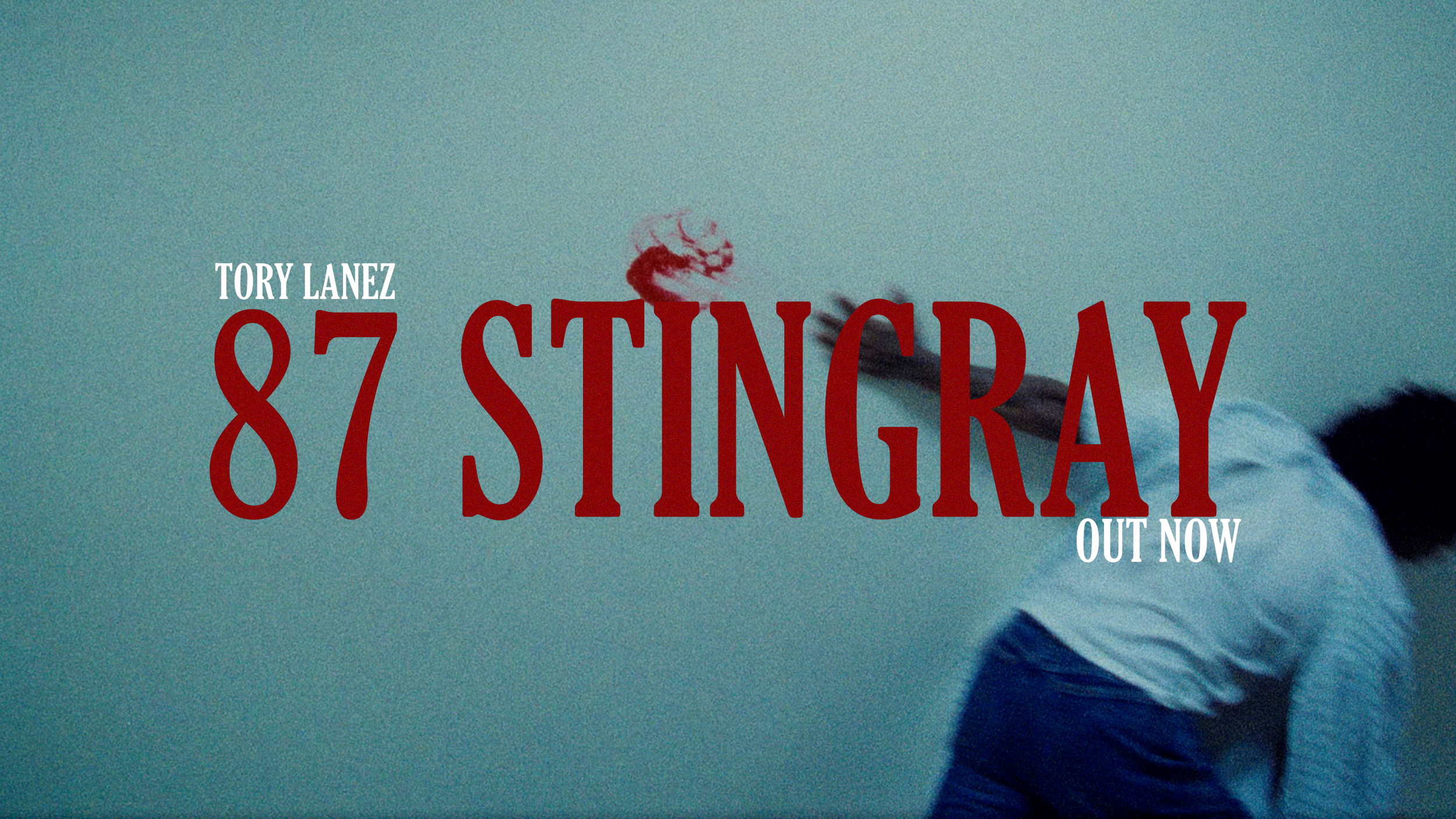 87 stingray banner.PNG