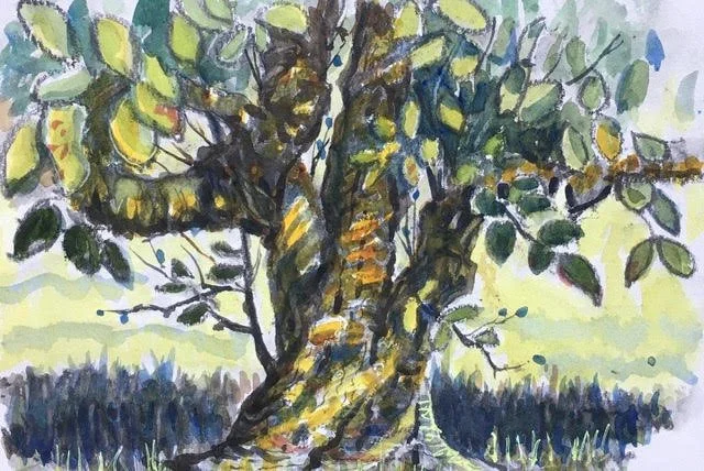 tree.jpg