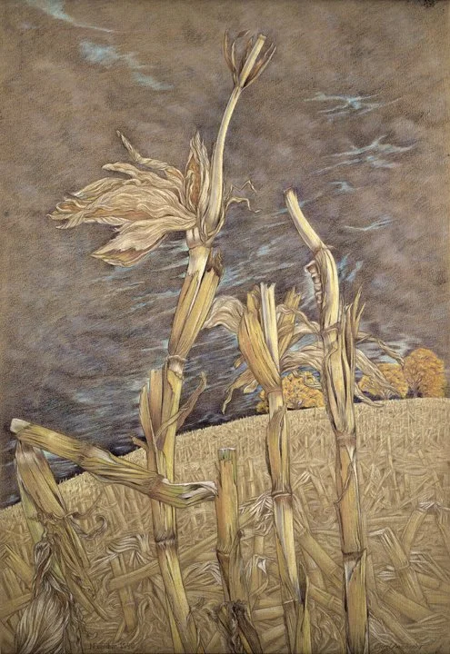 Renewal Awaiting .jpg