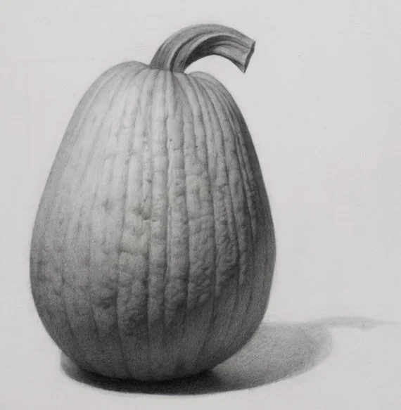Study of a Pumpkin (3).jpg