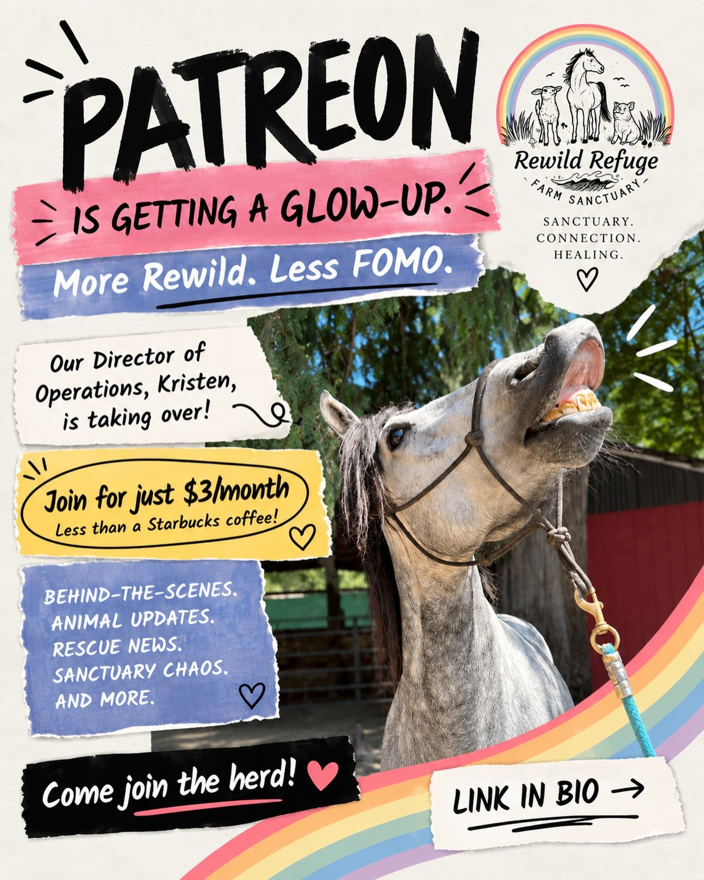 THE REWILD PATREON IS GETTING A GLOW-UP!! 👀✨

Our Director of Operations, Kristen, is officially taking over our Patreon and she has PLANS!! 😂

We really need your support. Donations have been down, and over the last two months alone, we&rsquo;ve l