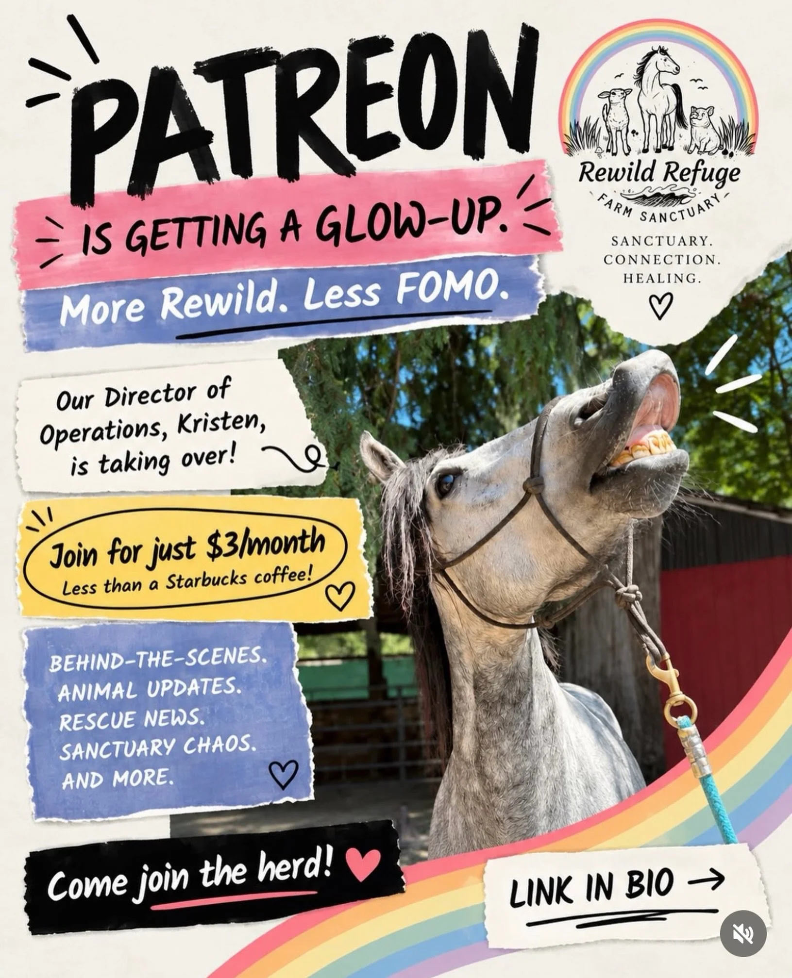 THE REWILD PATREON IS GOT A GLOW-UP!! 👀✨

Our Director of Operations, Kristen, has officially taken over our Patreon and we have lots of fun content popping up over there!! 🤗

We really need your support. Donations have been down, and over the last