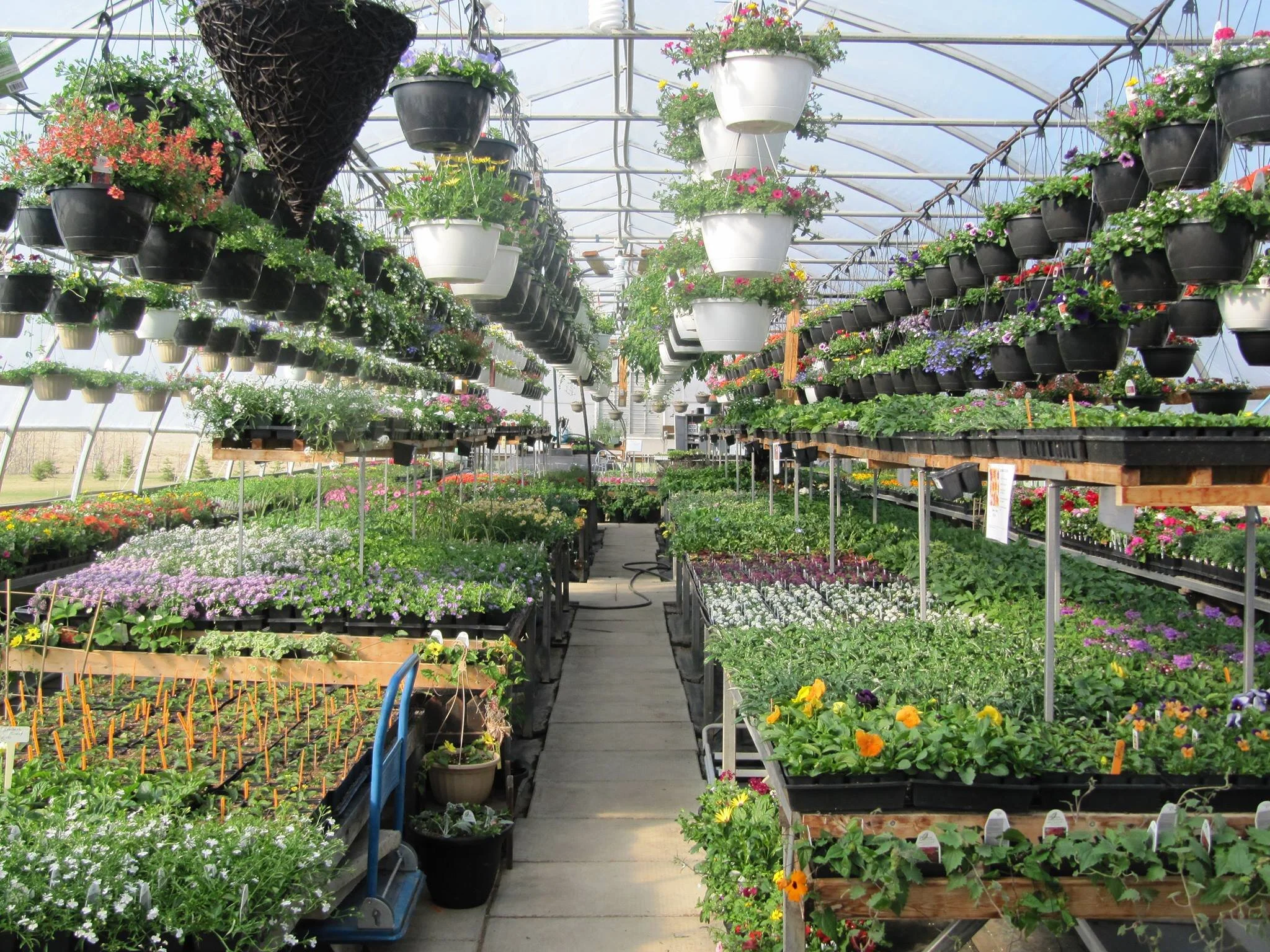 GreenThumb Greenhouse