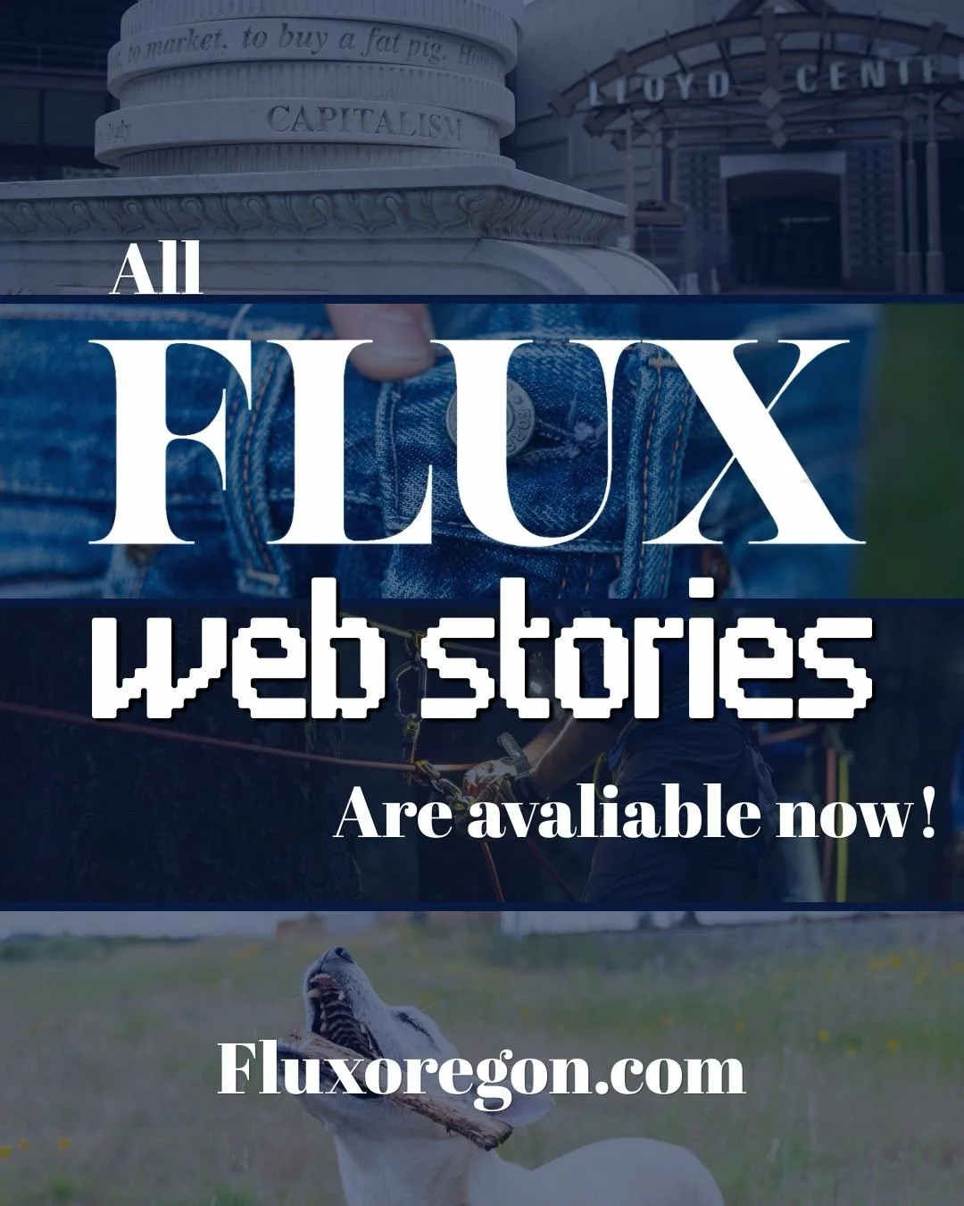 Flux is excited to share that all 2026 web stories are live now! Take a look at the stories our members have been working on the past few months.

We would like to give a huge thank you to everyone across the PNW that has been a part of bringing thes