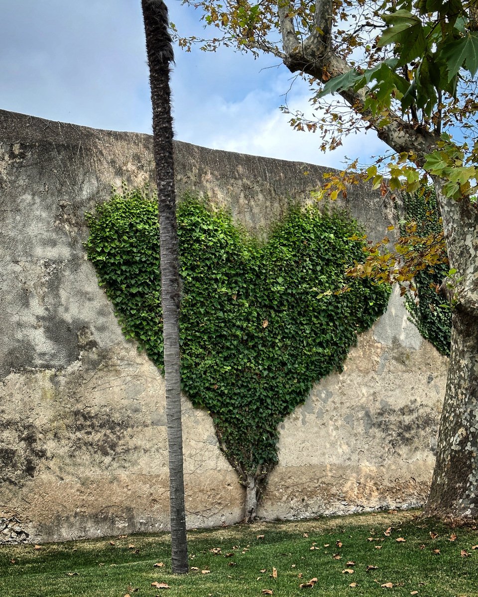 e2371190-ecbe-48ca-87a7-8e750bf0eb61-l.jpg