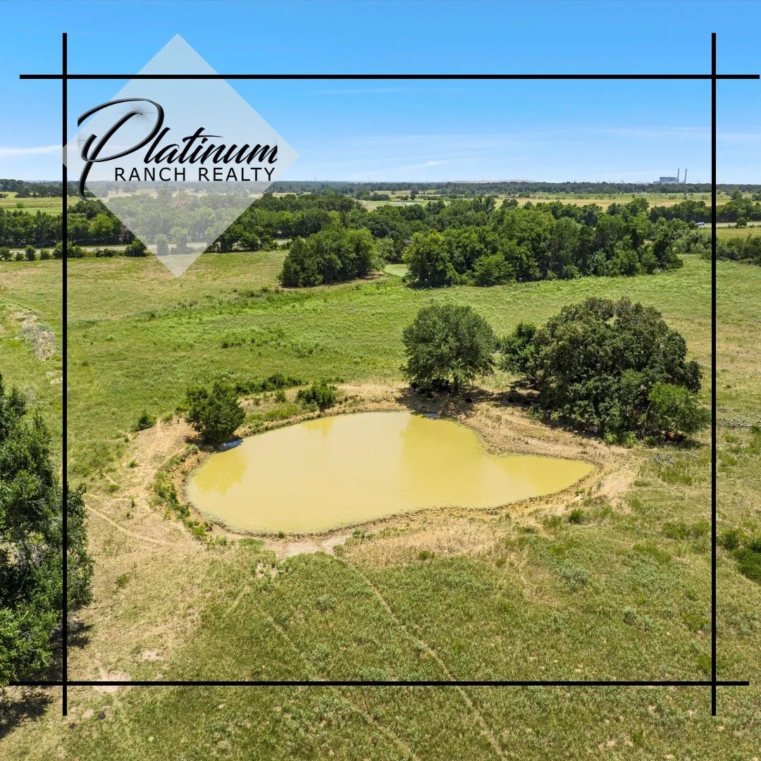 3306 S Tx-Highway 14, Bremond, TX 76629

This breathtaking 24.02 acre property located in Bremond, offers a serene escape from the hustle and bustle of city life. With 2 stock tanks, wooded and open pasture, fenced on 2 sides, this is the perfect spo
