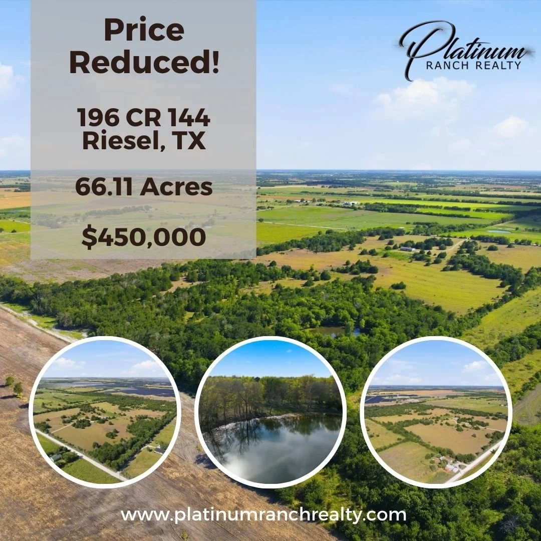 🔥 PRICE REDUCED to $450,000! 🔥

Looking for the perfect piece of Texas land? 🌅 Check out 196 CR 144 in Riesel, TX &mdash; now offered at an incredible new price!

🌾 66.11 Acres of prime land
🏡 Ready for your dream homesite
🐄 Perfect for all you
