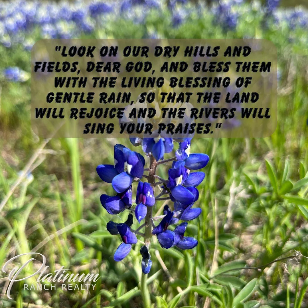 🙏 **With bent knees and humble hearts, Lord, we come before You today.**

We pray that You would **bless our farms and ranches with the much-needed rain**. 🌧️🌾

Send the rain our land so desperately needs. Give strength to our crops, nourishment t