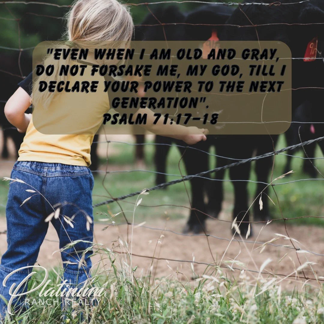 ❤️🌻 **SUNDAY THOUGHTS | HAPPY GRANDPARENTS DAY!** 🌻

Today, we celebrate the **grandparents who go above and beyond** for their grandchildren. ❤️

The ones who show up for the ball games, livestock shows, school events, birthdays, and everything in
