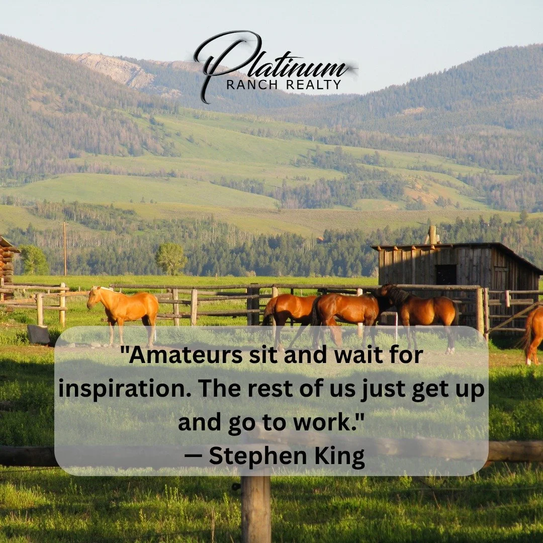 &ldquo;Amateurs sit and wait for inspiration. The rest of us just get up and go to work.&rdquo;
&mdash; Stephen King

There&rsquo;s something to be said for showing up and putting in the work. 🤠🌾

In real estate, opportunities don&rsquo;t always co