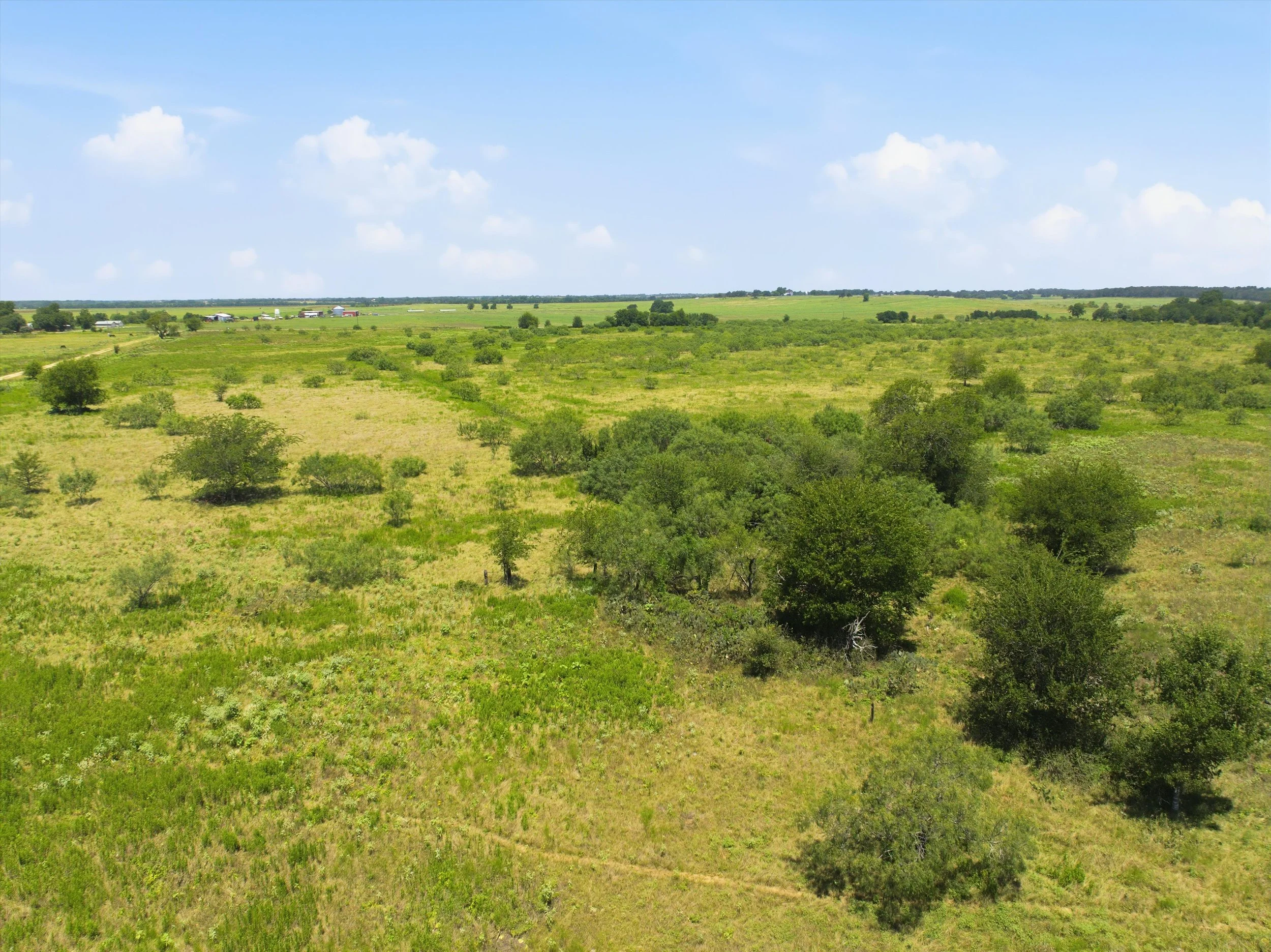 25-DJI_0390.jpg