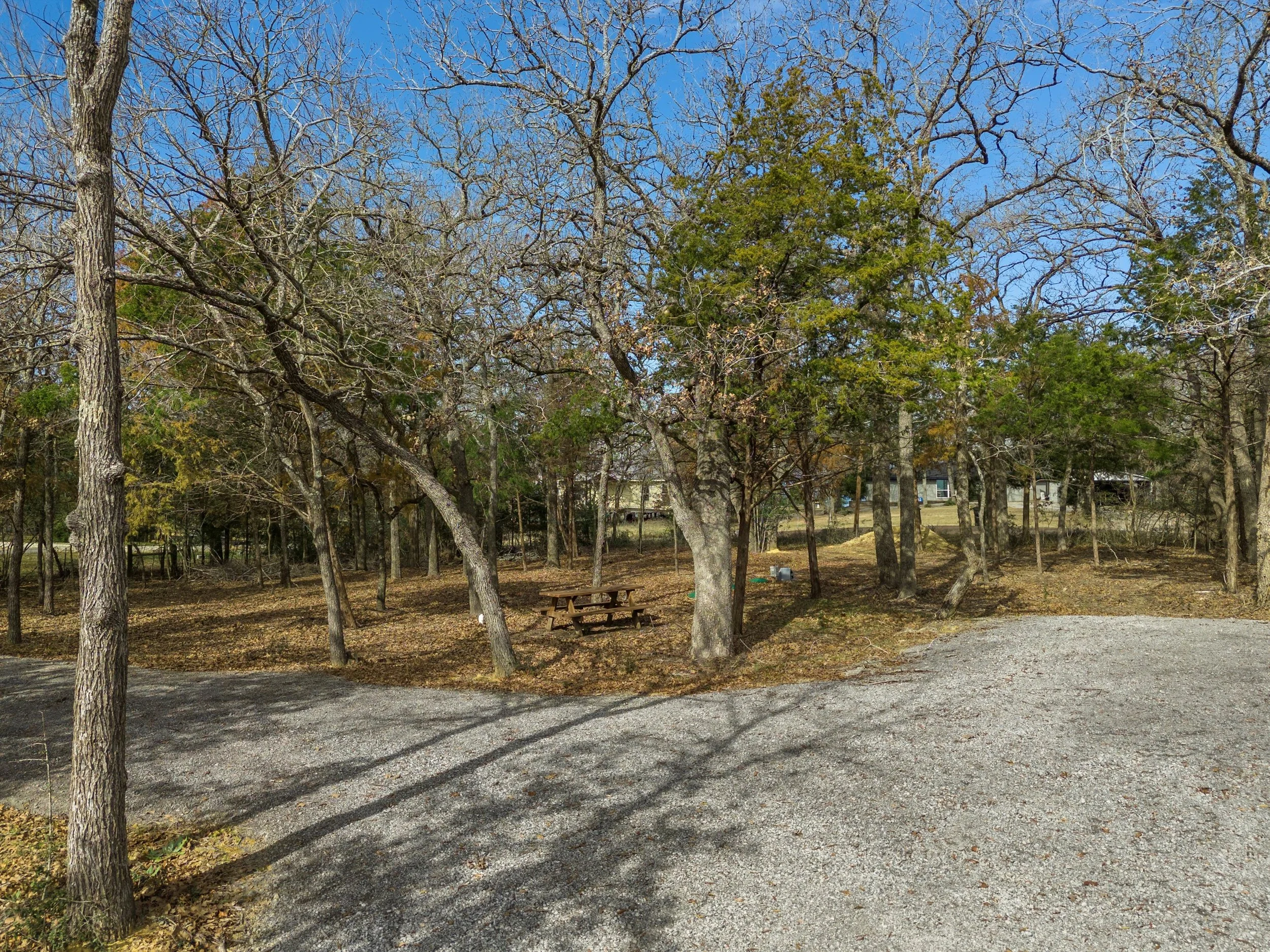 06-DJI_20240201115106_0116_D.jpg