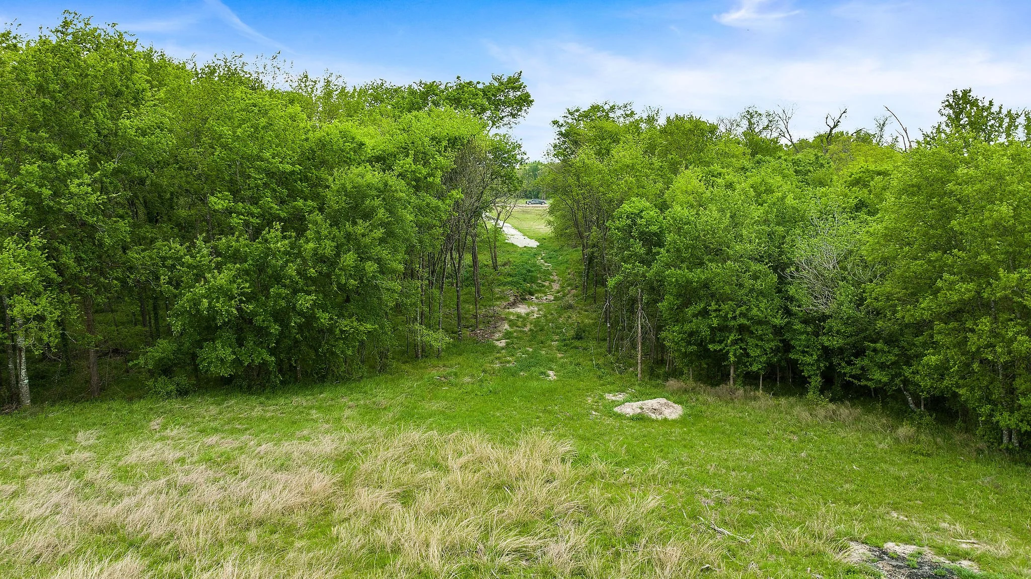 DJI_0810.jpg