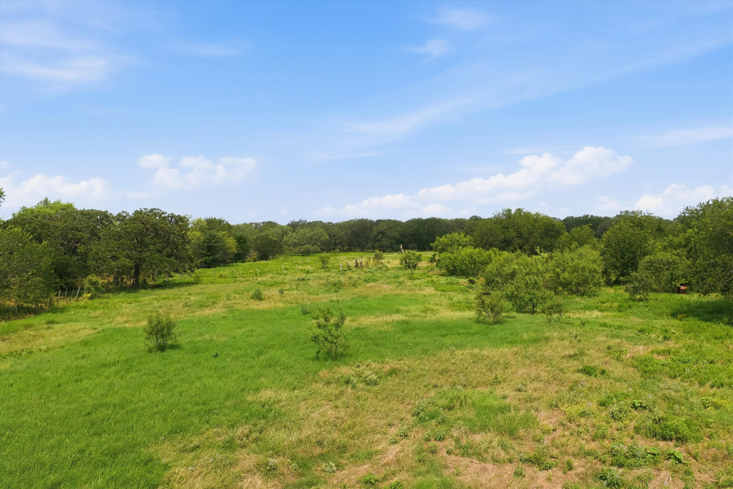 3-DJI_20260624111555_0948_D.jpg