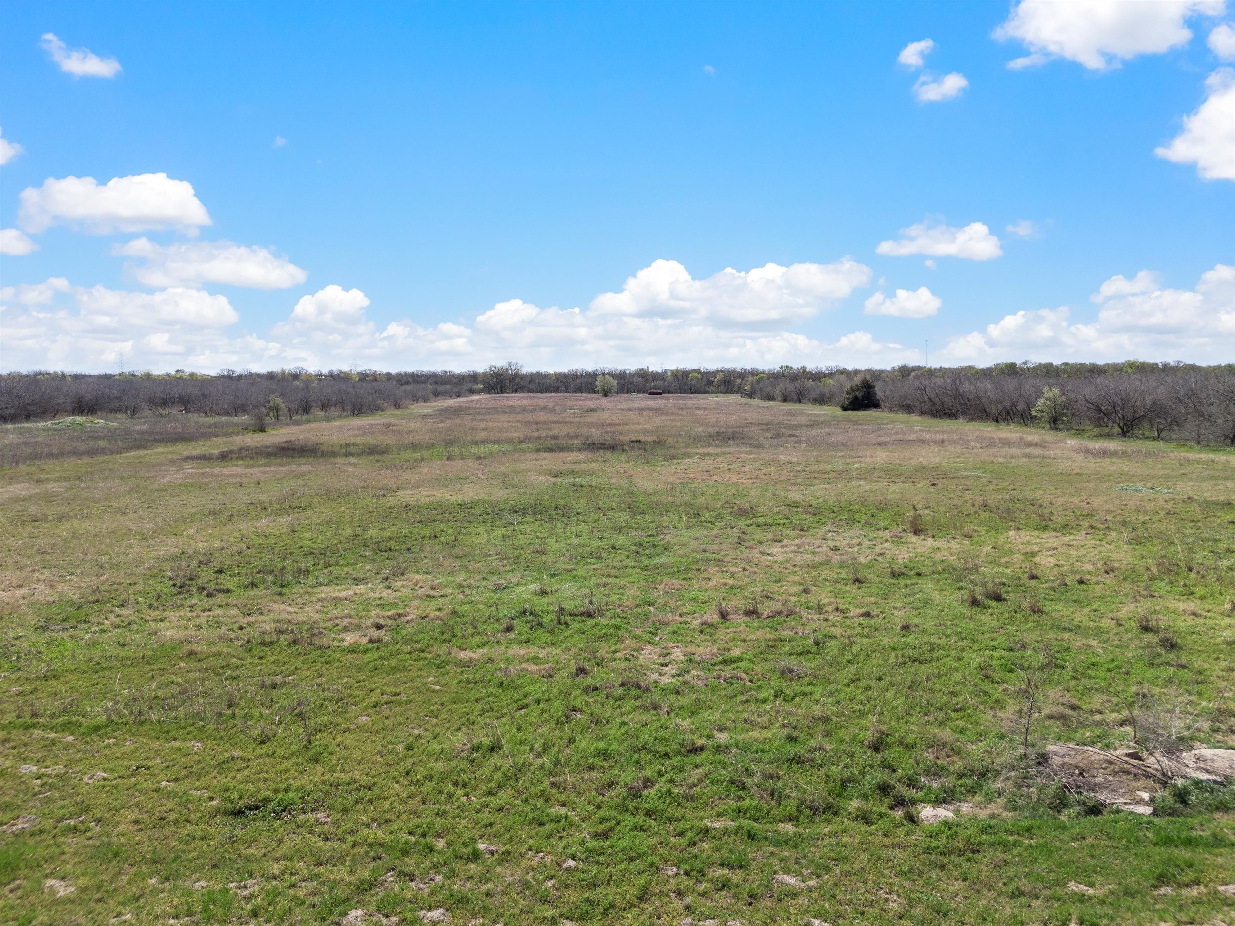 12-DJI_20250320114326_0077_D.jpg