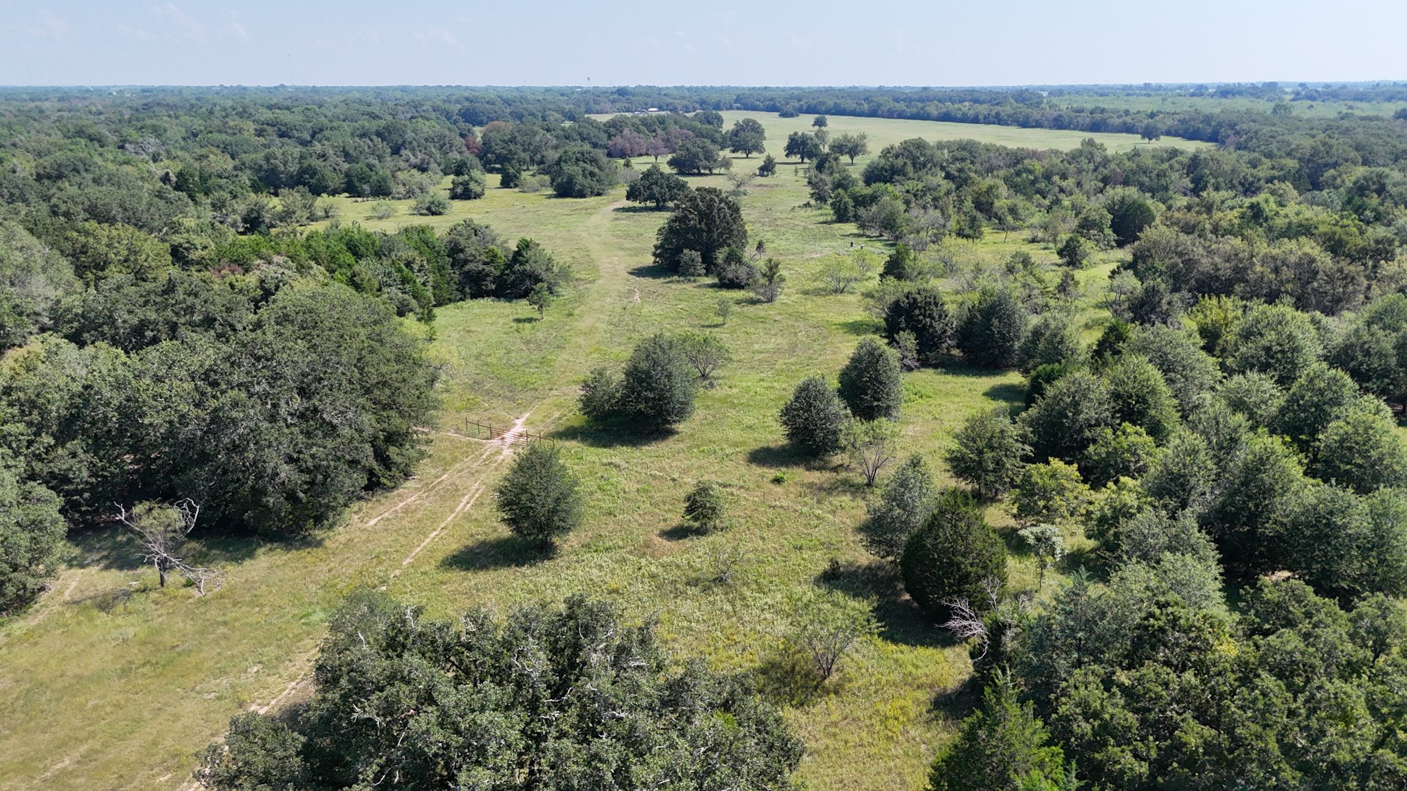dji_fly_20240806_105736_0229_1722986525901_photo.jpg