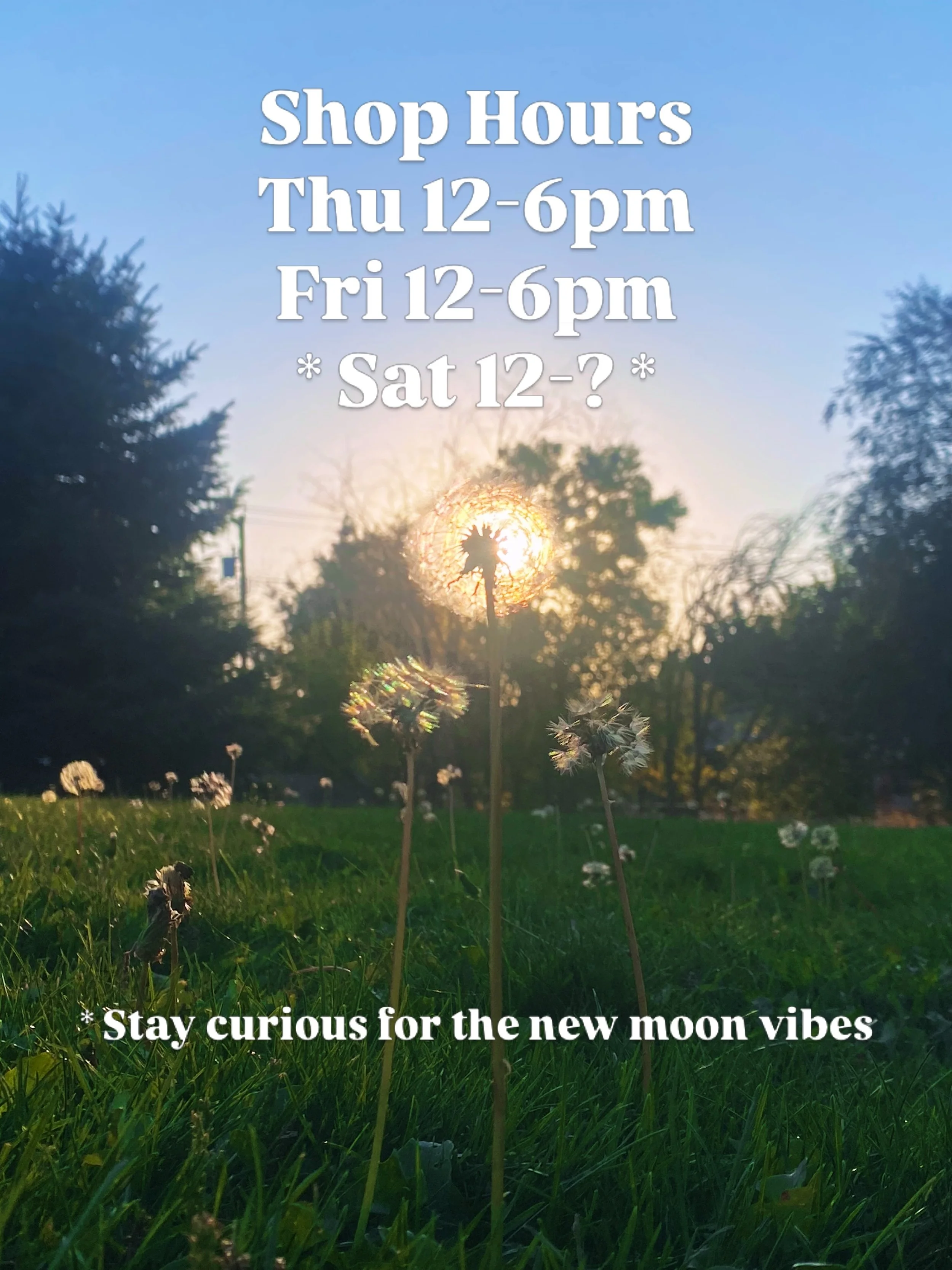 Bri's back! Resting today we hope.

We are back to our regular scheduled shop hours and a special Saturday session for something fun we have planned with our house astrologer to help navigate this upcoming new moon energy.

Stay curious! 

More deets