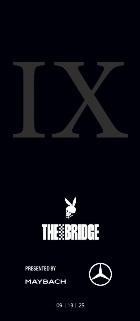The Bridge IX Program