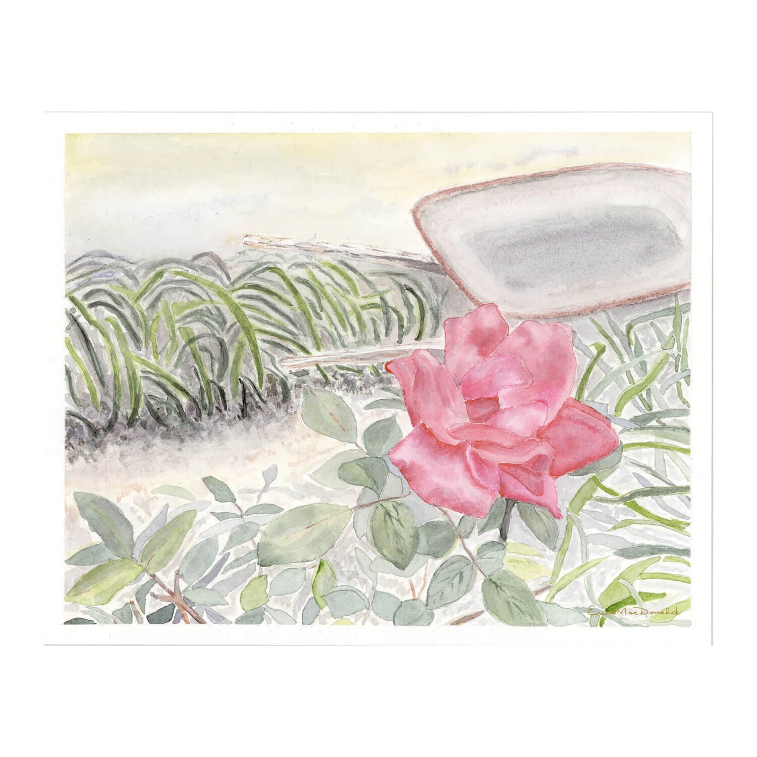 Wild Rose Garden Original Painting