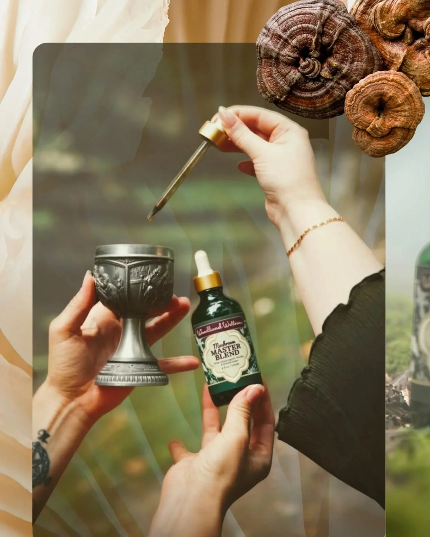 And when it touched her tongue, she heard a whisper, clear as sunlight -
&ldquo;We&rsquo;re glad you&rsquo;re here&hellip; we&rsquo;ve come to help.&rdquo; 🍄✨

Oh, Mushroom Master Blend and Brain Boost, you really ARE something magical. 🌀

&deg;
&d