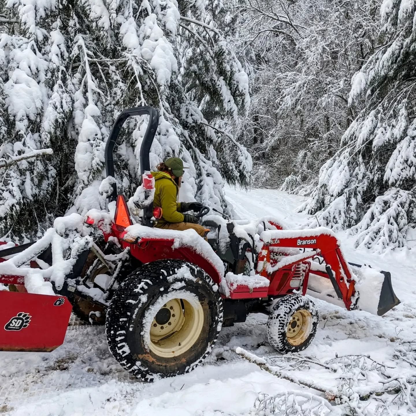 These mountains are beautiful, 
But with snow...

they are the secret hideaway magical escape wonderland of a lifetime.🐉🧚&zwj;♀️❄️

The work, the play, 
and everything in between... 
it's elemental intimacy
and boy, do I love melting into her.

❕GR