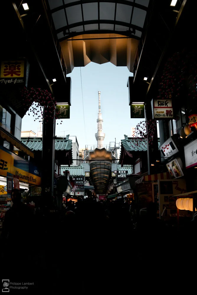 Philippe-Lambert Photography-Japan-0692.jpg