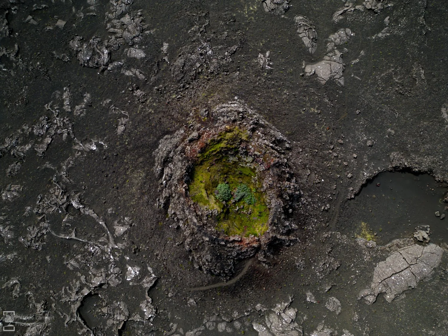 DJI_0009.jpg
