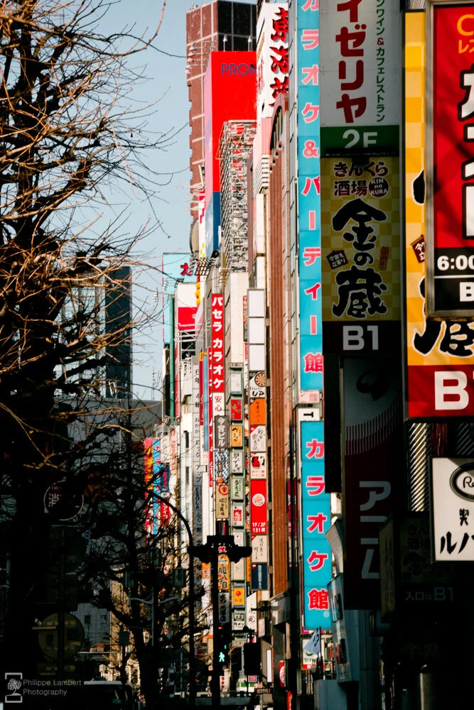 Philippe-Lambert Photography-Japan-0081.jpg