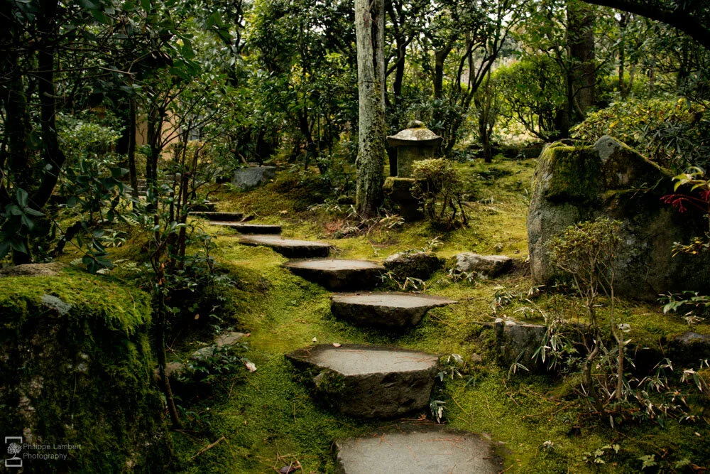 Philippe-Lambert Photography-Japan-1732.jpg