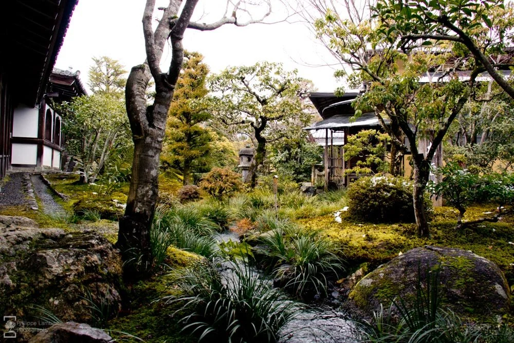 Philippe-Lambert Photography-Japan-0801.jpg