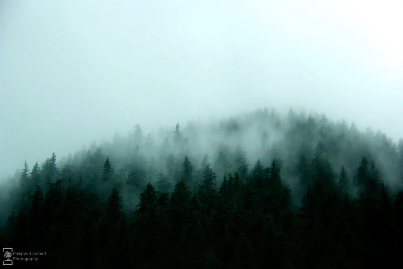 Philippe-Lambert Photography-Prints-2.jpg