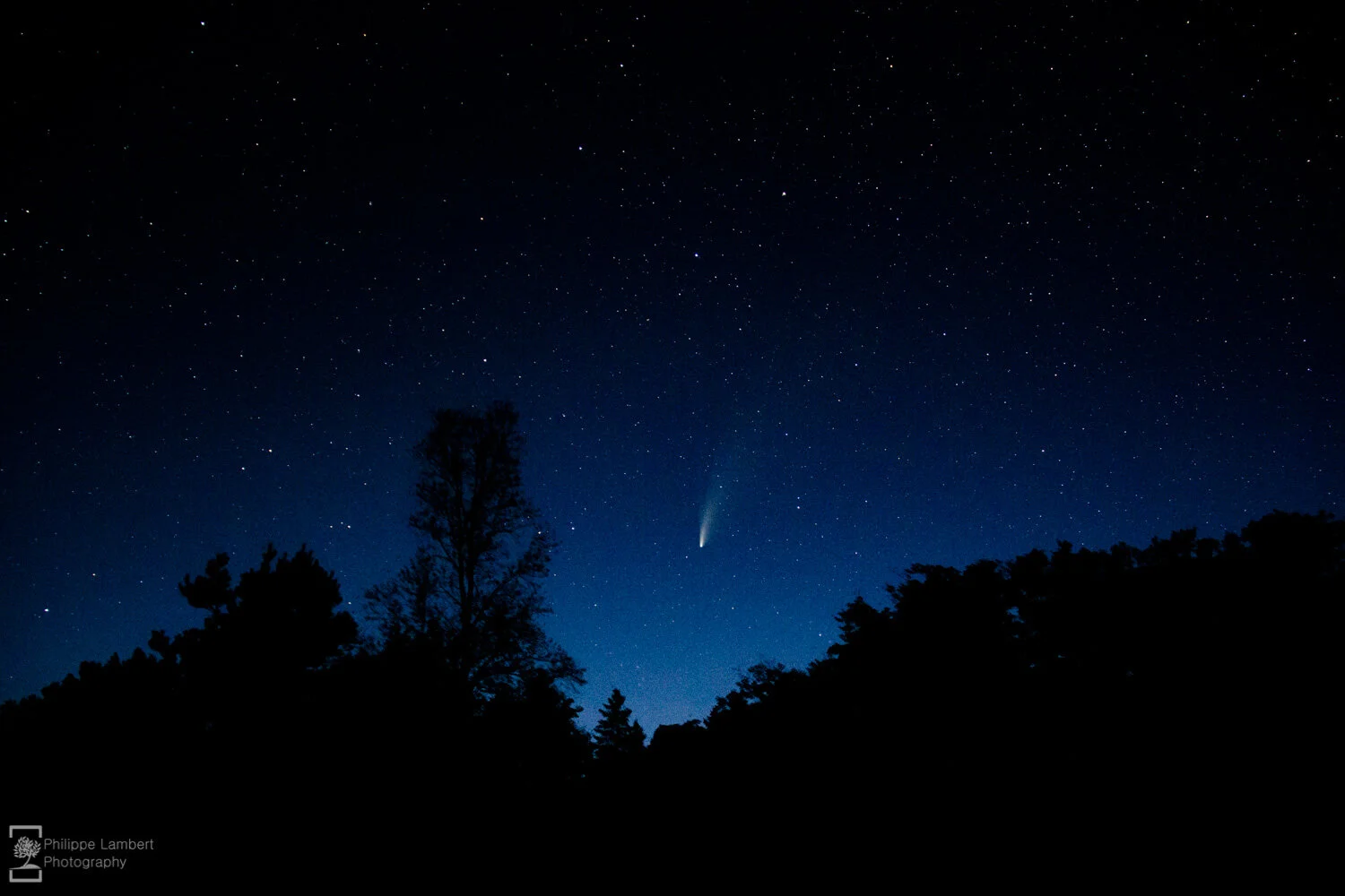 Comet Neowise