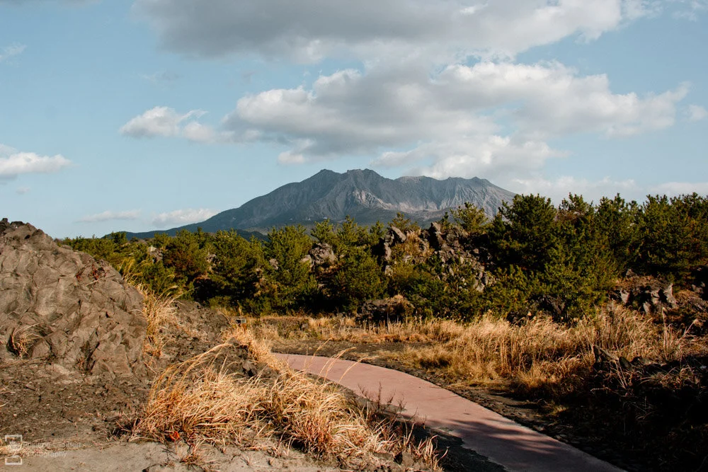 Philippe-Lambert Photography-Japan-0227.jpg