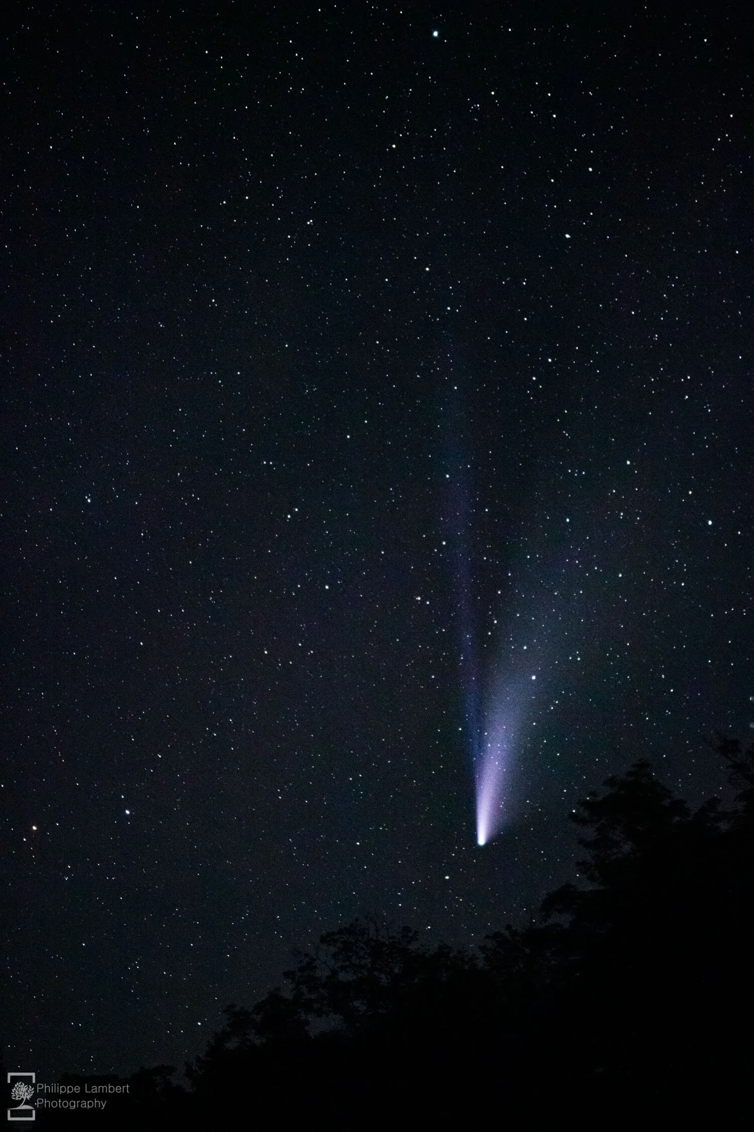 Comet Neowise with Visible Iron Tail