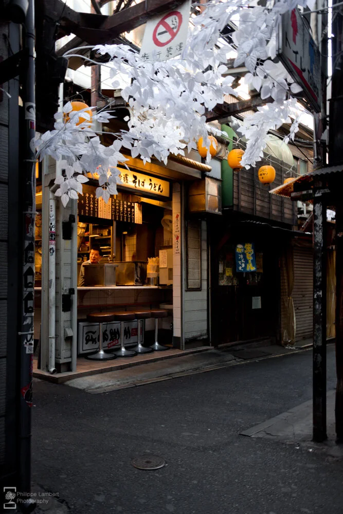 Philippe-Lambert Photography-Japan-9972.jpg