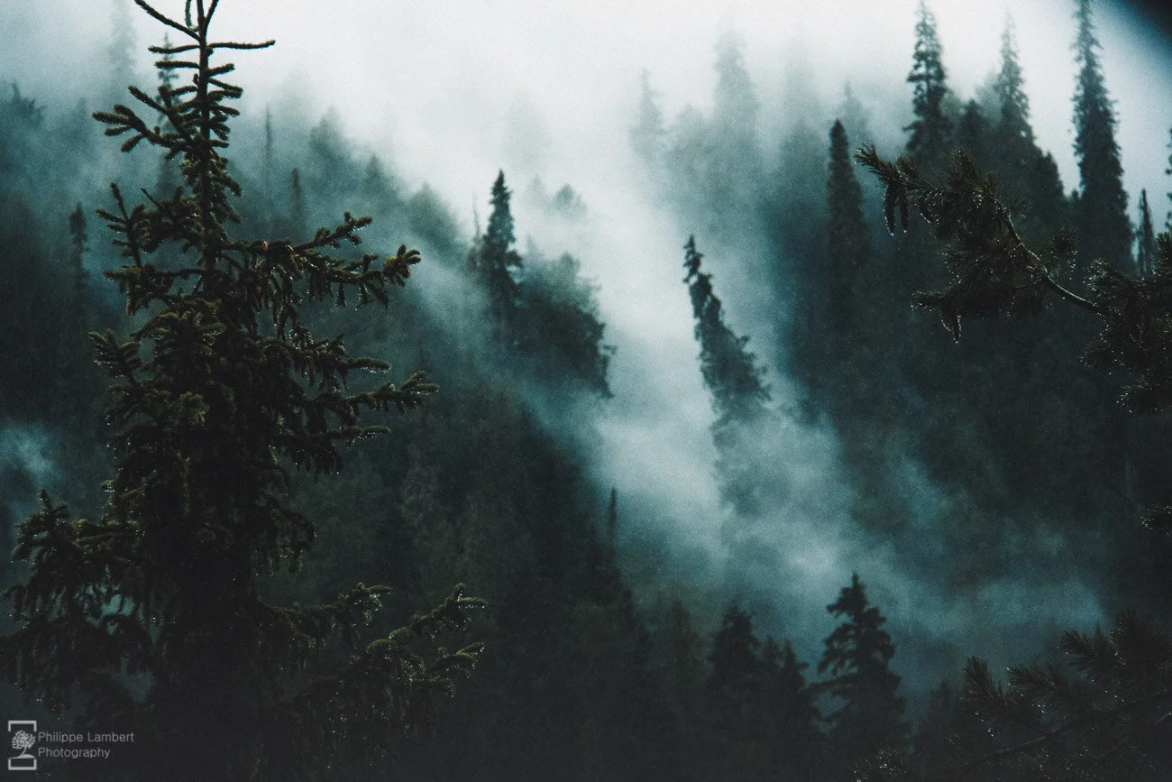 Philippe-Lambert Photography-Prints-2-2.jpg