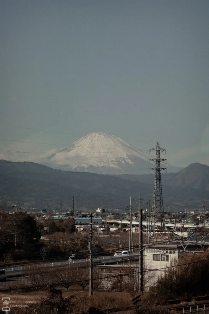 Philippe-Lambert Photography-Japan-9292-2.jpg