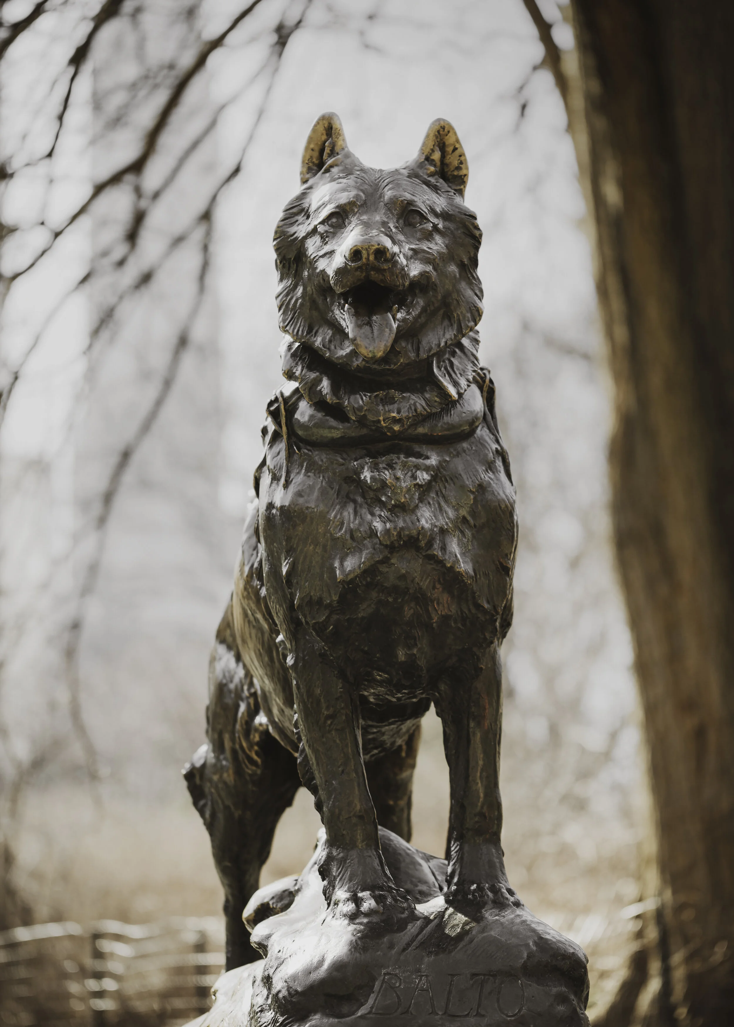 - Balto -
